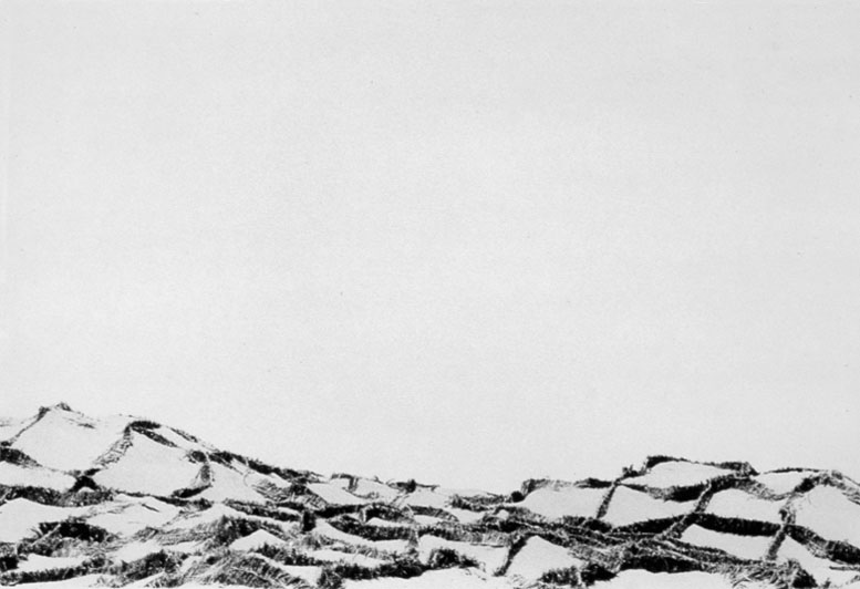 Desert Control, BW 3